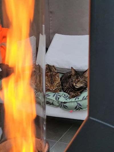 Parfait pour les soirées conviviales sur la terrasse.